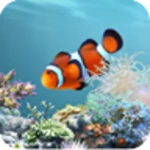 anipet aquarium livewallpaper android application logo